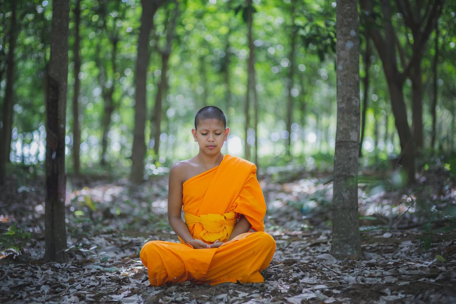 ปฏิบัติธรรม